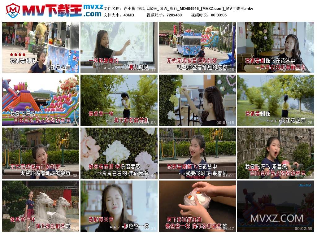 许小梅-乘风飞起来_国语_流行_MD404916